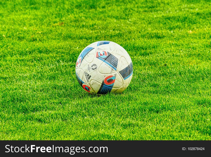 Grass, Football, Green, Ball