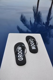 The Groom Has Taken The Plunge Royalty Free Stock Photos
