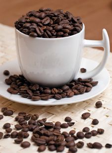 Coffee Beans In A White Cup Royalty Free Stock Image Coffee Beans In A White Cup Royalty Free Stock Image