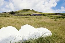 Hay Bales In Azores Royalty Free Stock Images