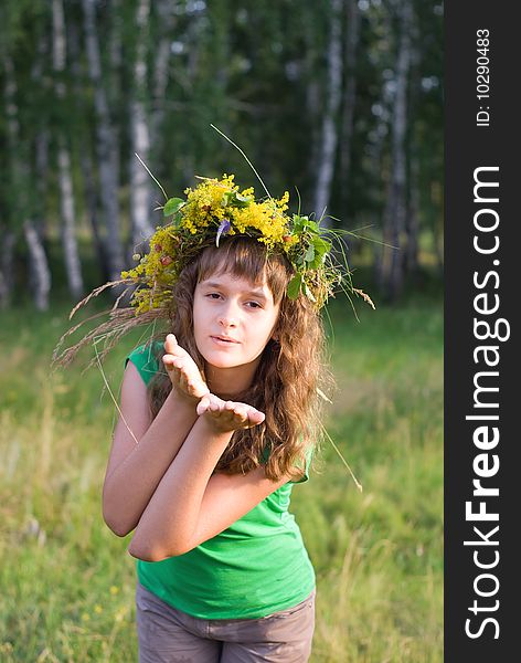 Young girl in the diadem on the nature. Young girl in the diadem on the nature