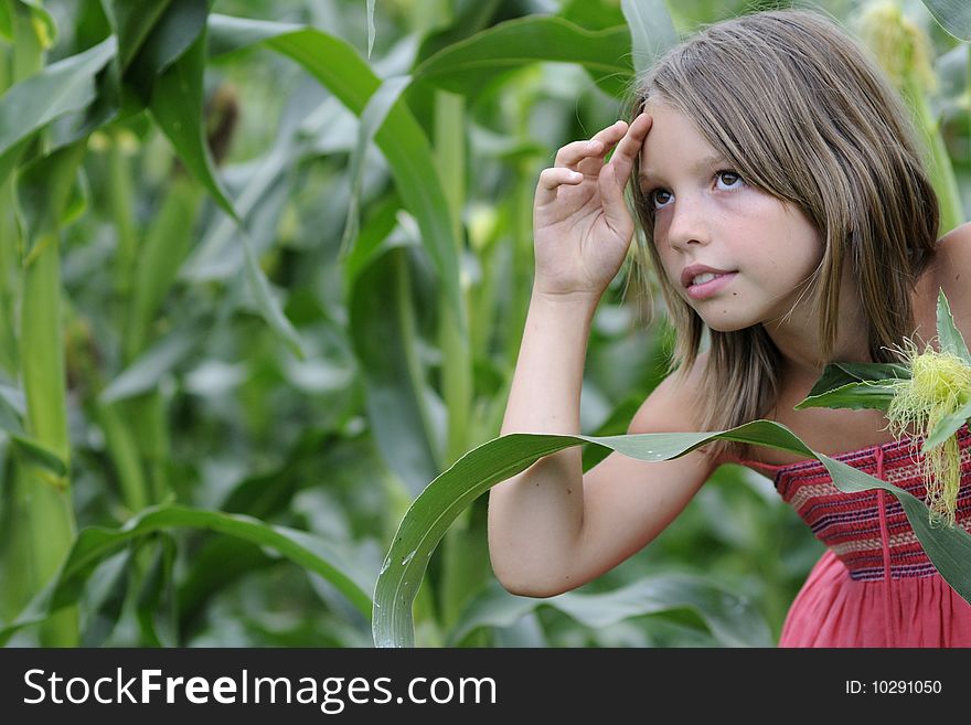 Beautiful girl playing and looking in corn field. Beautiful girl playing and looking in corn field