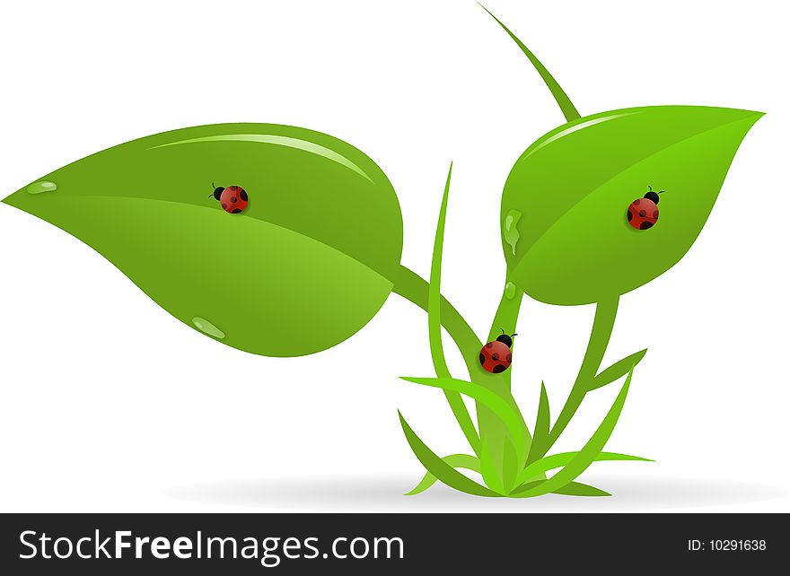 Bright tropical leaves, Vector Illustration