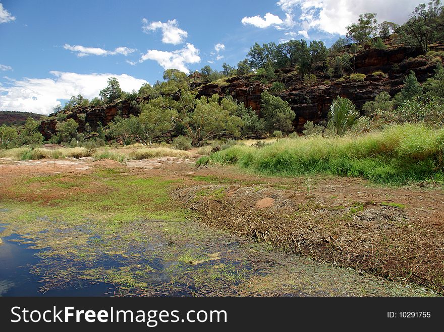 View of the Palm Valley - Northern Territory, Australia. View of the Palm Valley - Northern Territory, Australia.