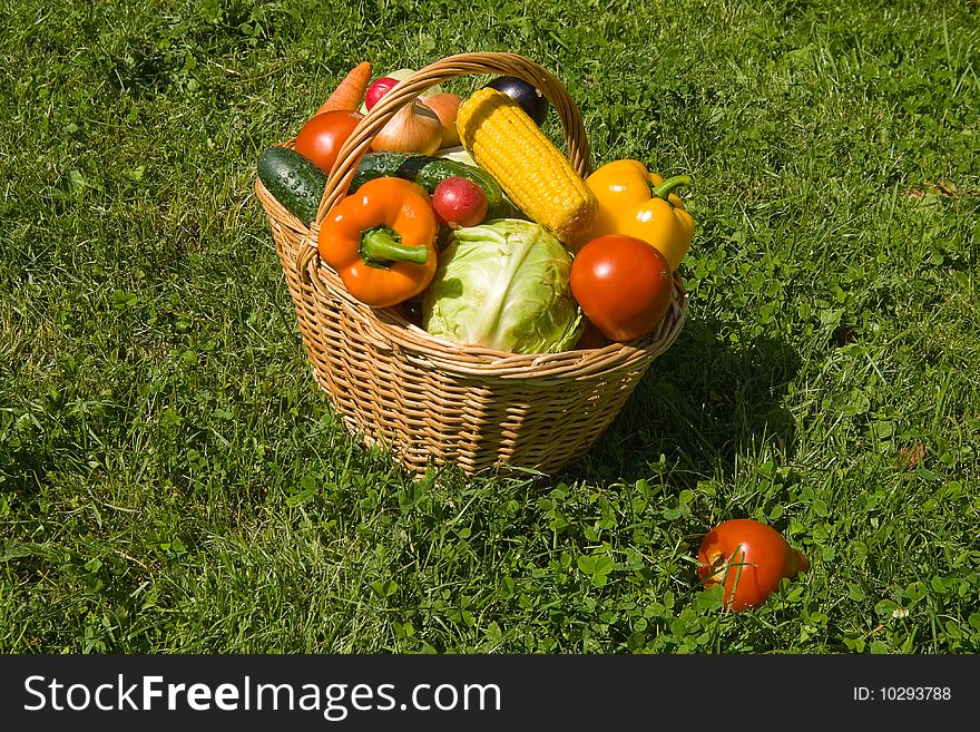 Basket with vegetables from a kitchen garden ongreen grass