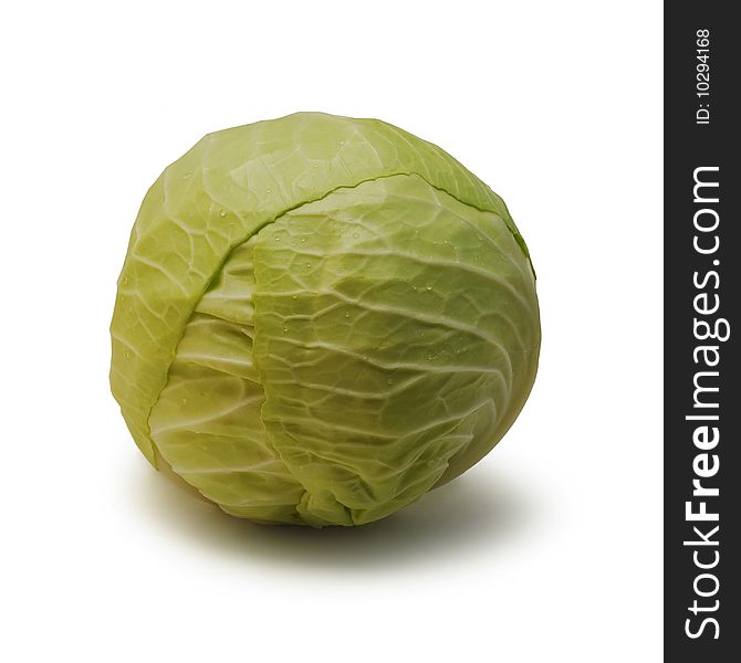 One cabbage isolated on white