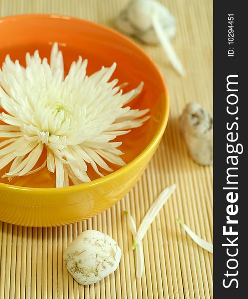 bowl of water with flower and stones