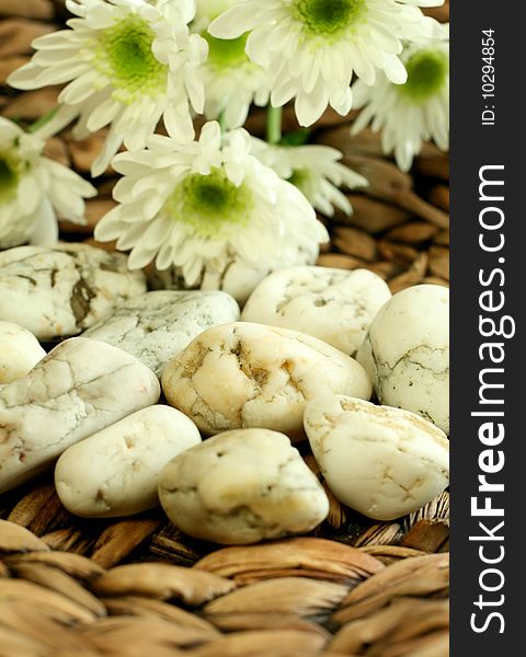 Stones and white  flowers on wooden background. Stones and white  flowers on wooden background.
