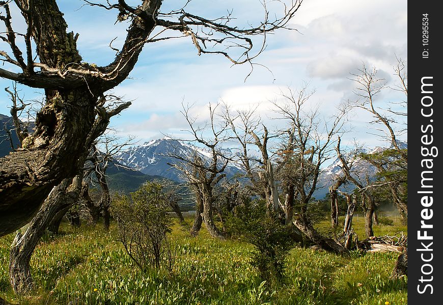 Argentinian Andes near El Chalten village