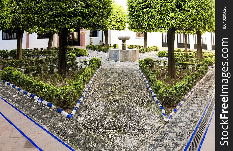 An elaborately paved square, set with shape-trimmed trees in Cordoba Spain. An elaborately paved square, set with shape-trimmed trees in Cordoba Spain.