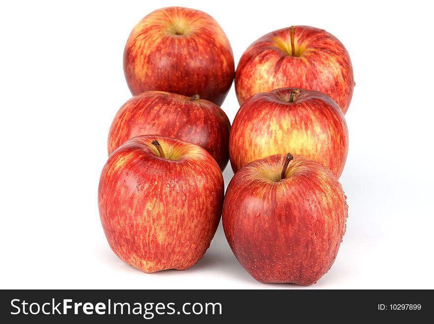 Apples, green and red, are photographed on a white background