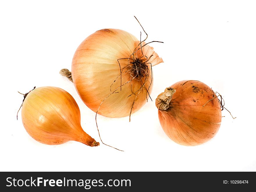 Onions in a golden peel on a white background
