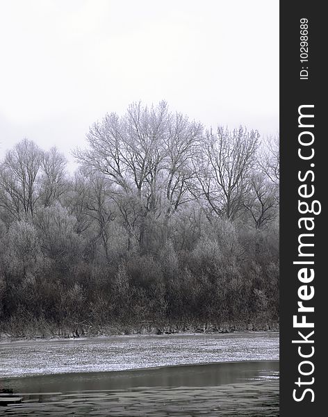 Black winter trees on riverbank scenic landscape. Black winter trees on riverbank scenic landscape