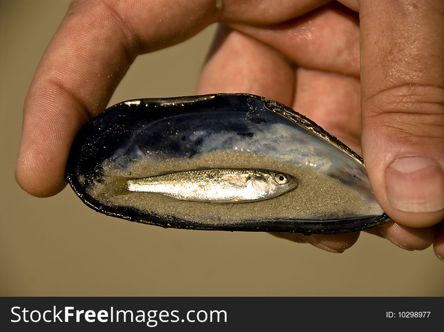A man holding a small fish he captured in a mussel shell. A man holding a small fish he captured in a mussel shell