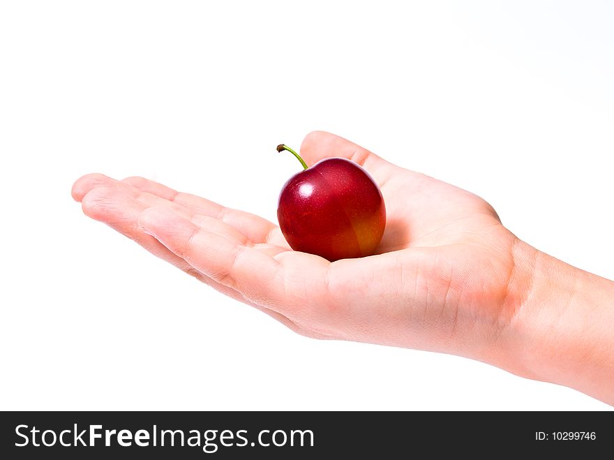 Plum on hand on white background