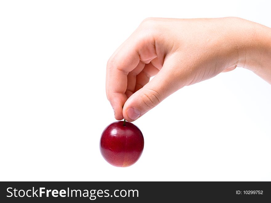 Plum in hand on white background