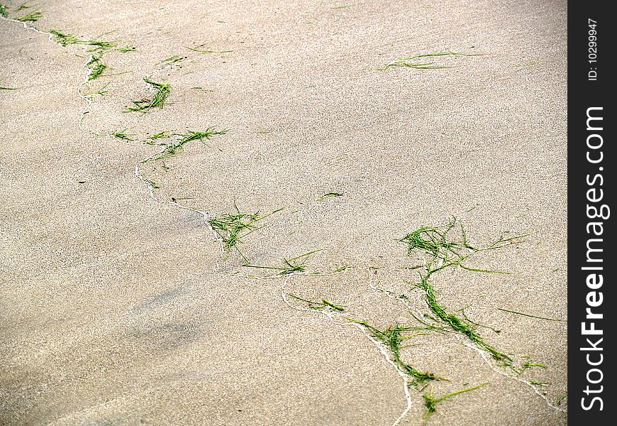 The beach after a major over night storm. The beach after a major over night storm