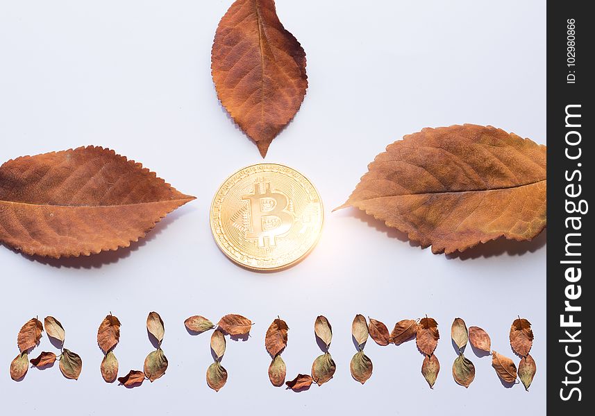 Virtual Coin Bitcoin and Fall leaves on white with text. Autumn design element. Autumn text formed with fallen leaves. From Above. Top view. Virtual Coin Bitcoin and Fall leaves on white with text. Autumn design element. Autumn text formed with fallen leaves. From Above. Top view.