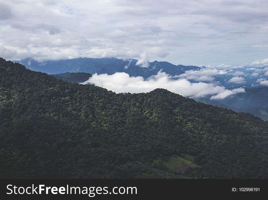 Background, Clouds, Daylight, Forest