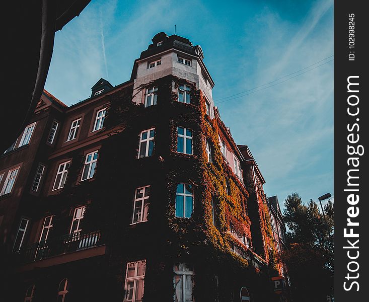 Apartments, Architecture, Bricks, Building