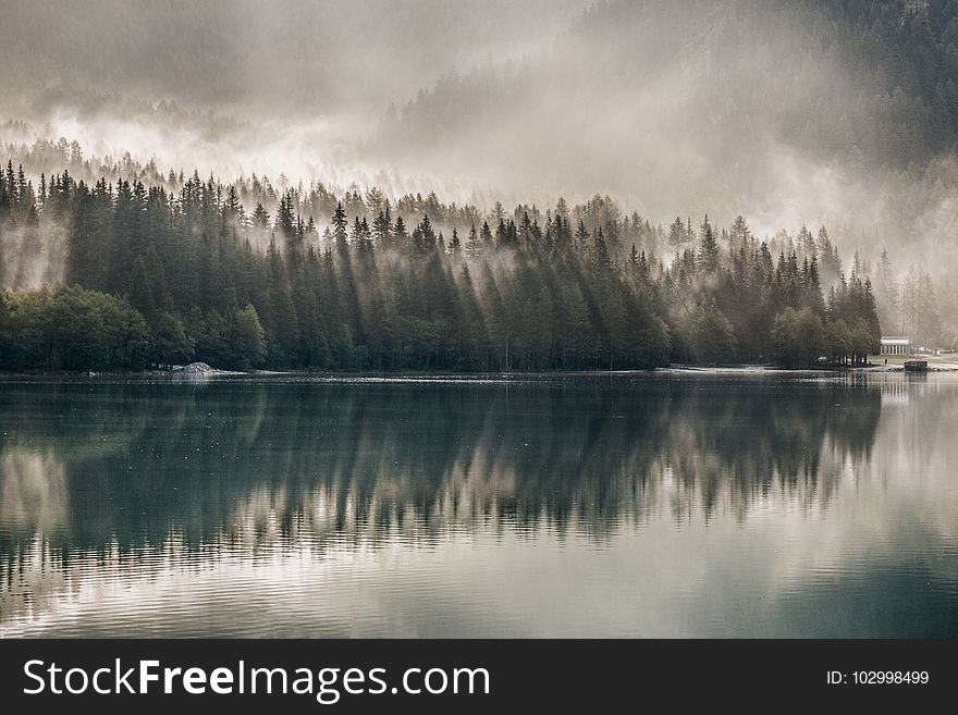 Daylight, Environment, Fog, Foggy,