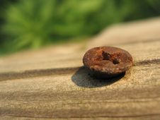 Screw In Weathered Wood Royalty Free Stock Images