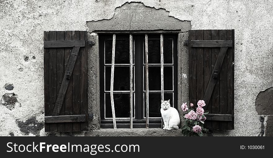 A Cat sits on the edge of a traditional window, Auvergne, France. A Cat sits on the edge of a traditional window, Auvergne, France
