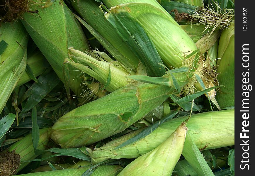 Fresh Corn at Market