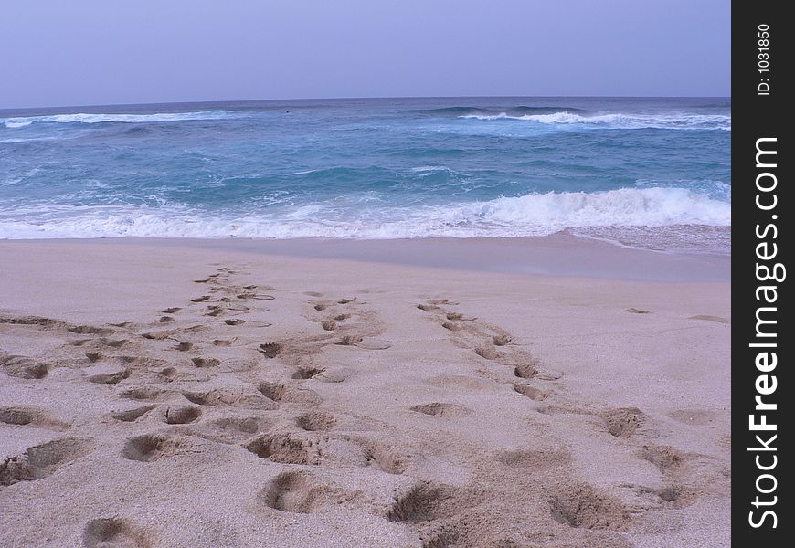 Footprints in the sand of sunset beach. Footprints in the sand of sunset beach