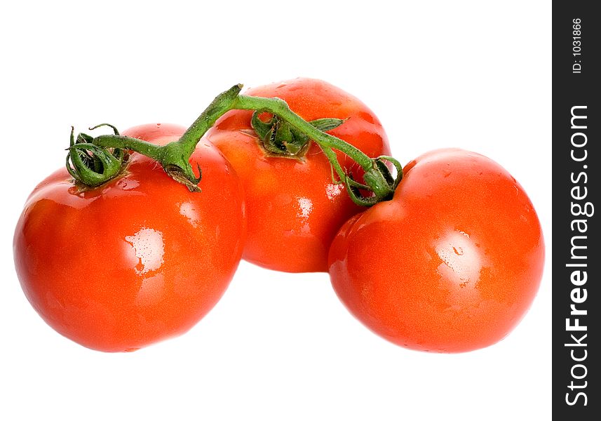 Three tomatoes against white background