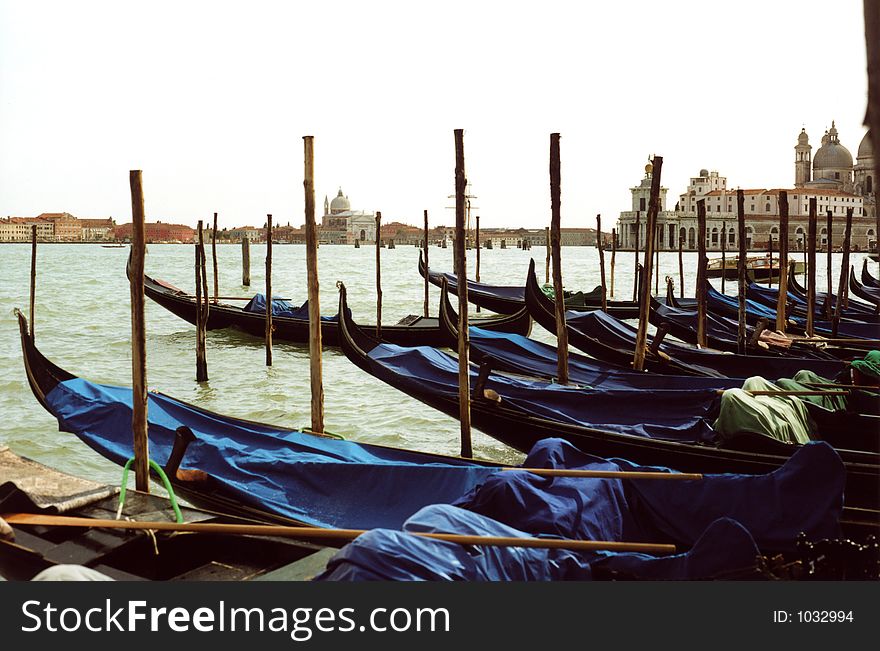 A row of gondolas parked at the edge of Piazza San Marco, glinting in the early-morning sun. A row of gondolas parked at the edge of Piazza San Marco, glinting in the early-morning sun.