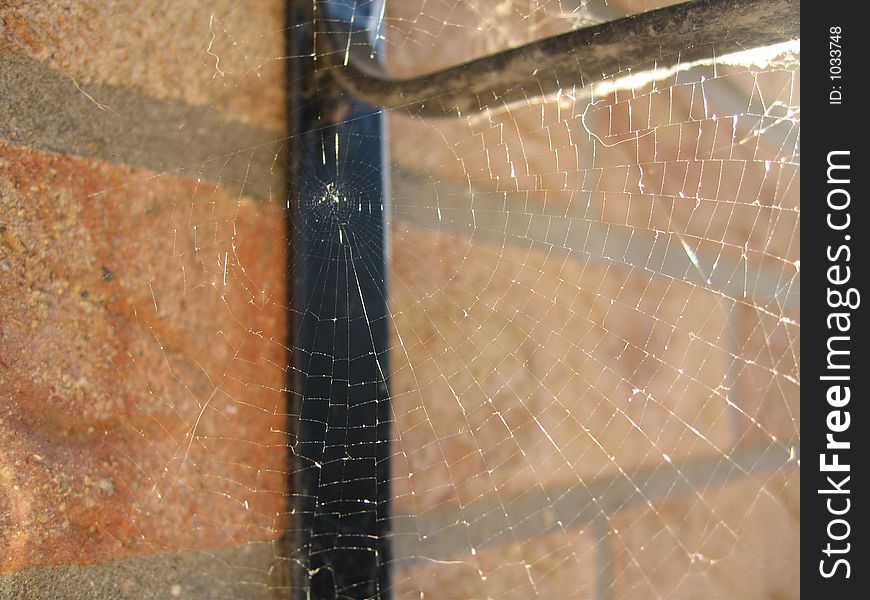 Spiders Web