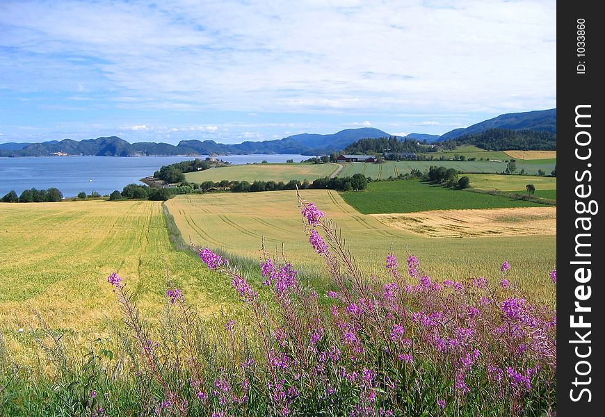 Norwegian farmland by the fjord