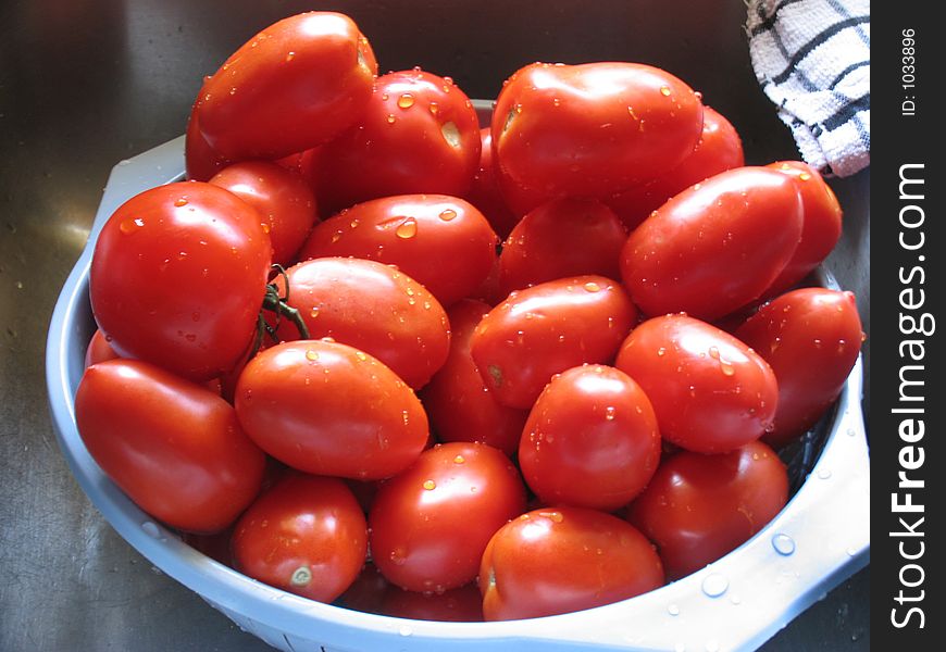 These tomatoes are freshly washed and about to be made into Salsa. These tomatoes are freshly washed and about to be made into Salsa.