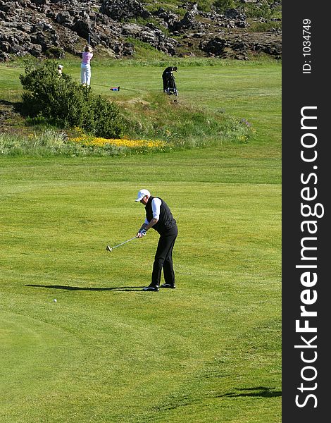 A golfer having just putted watching the ball rolling towards the hole. A golfer having just putted watching the ball rolling towards the hole