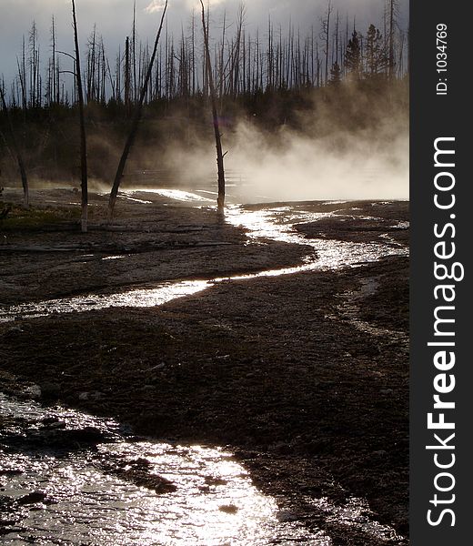 Hot Springs at West Thumb Geyser Basin