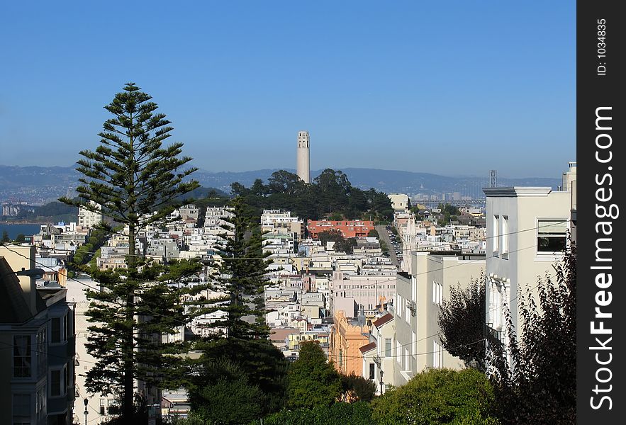 View of Coit Tower and Telegraph Hill in San Francisco