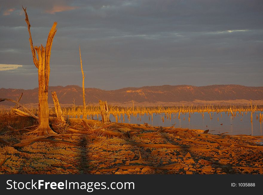 A dead tree stump in the sunset