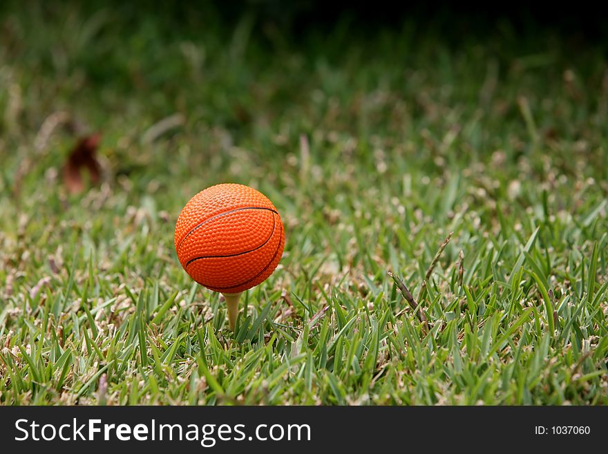 Basketball ball in the grass