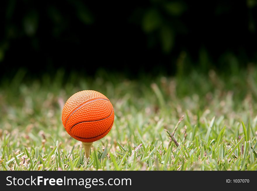 Basketball ball in the grass