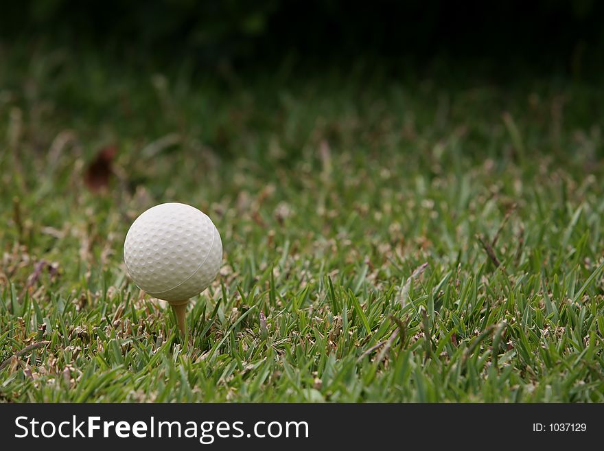 Golf ball in the grass