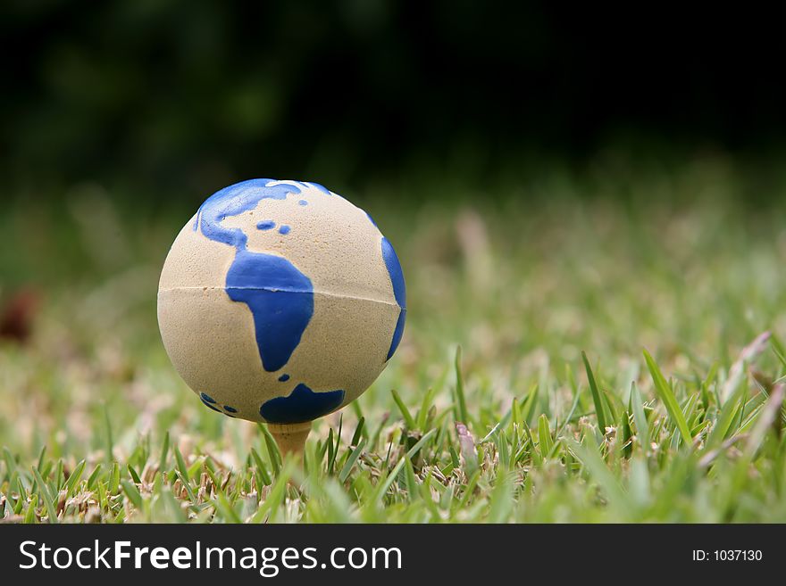 World ball in the grass
