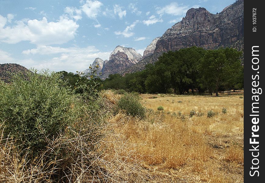 Zion National Park, Utah. Shear walls of the Zion canyon valley. Amazing! Awe-inspiring!. Zion National Park, Utah. Shear walls of the Zion canyon valley. Amazing! Awe-inspiring!