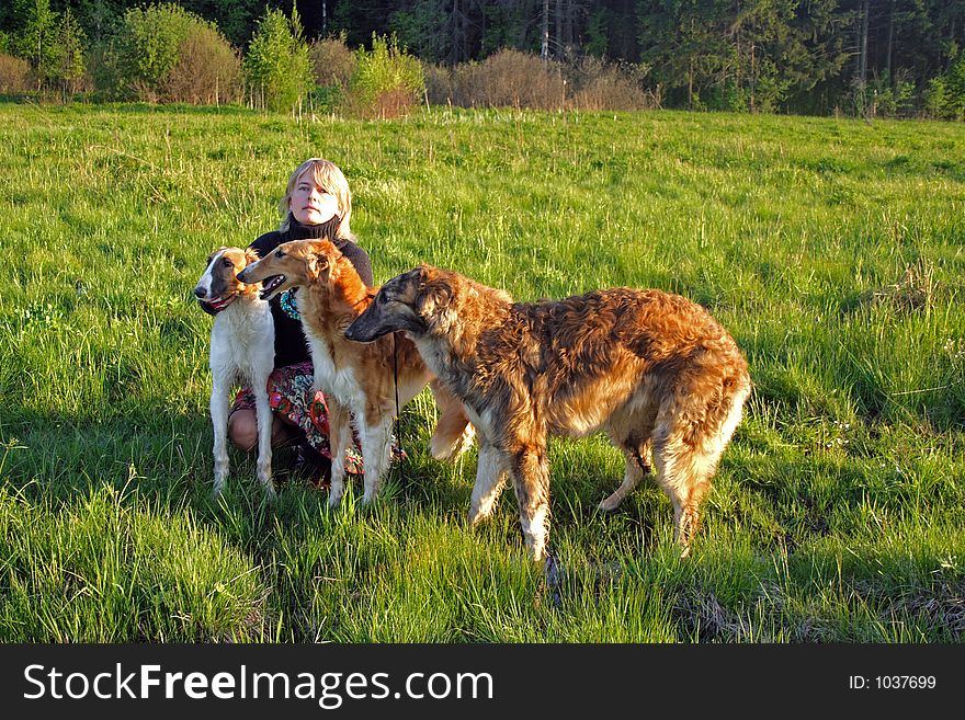 Cynologist with the thoroughbred borzoi dogs