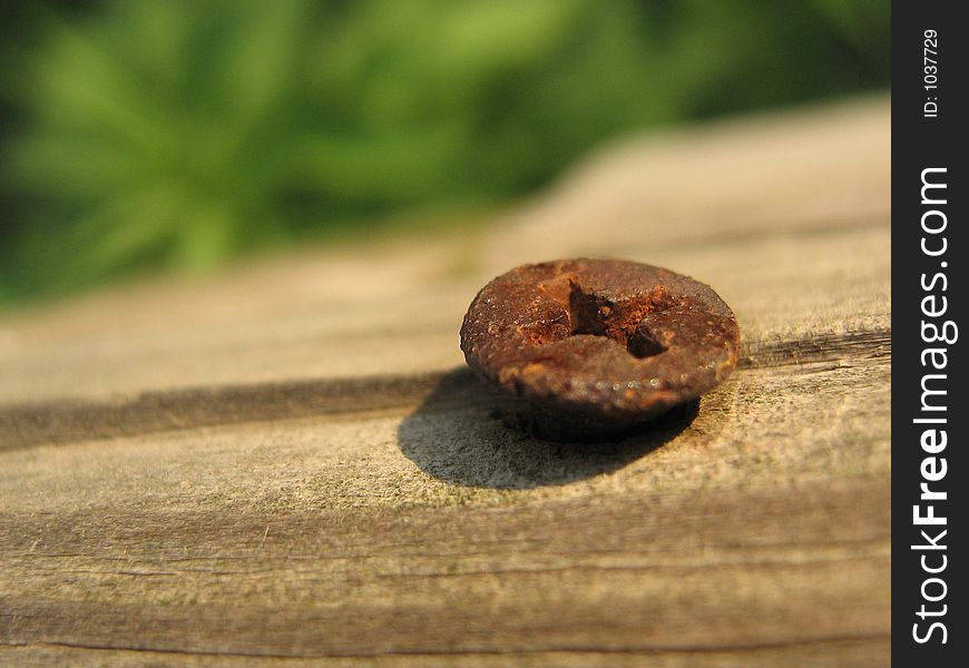 A rusty screw in wheathered wood. A rusty screw in wheathered wood
