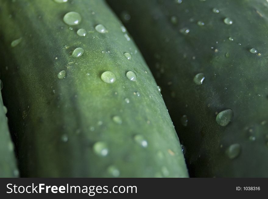 Wet cucumbers closeup.