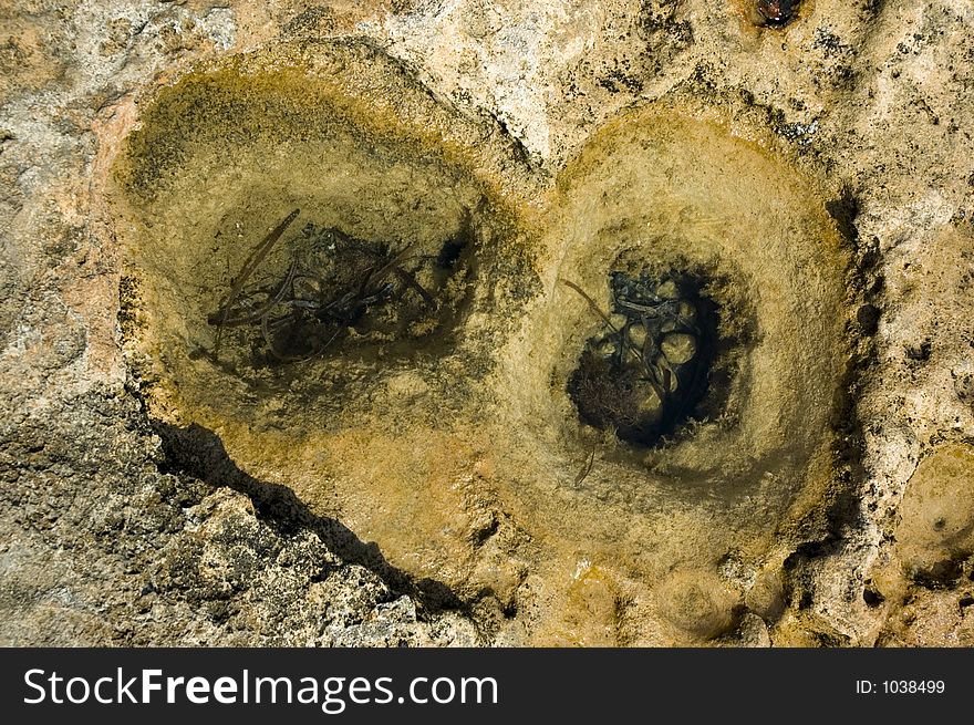 Background: rock holes with water inside. Background: rock holes with water inside