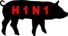 Warning Swine Flu Royalty Free Stock Photography