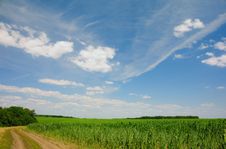Clouds Above The Corn Field Stock Photos Clouds Above The Corn Field Stock Photos