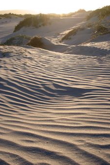 Dunes In Sunset Stock Images